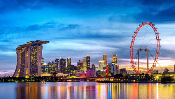 Company Registration in Singapore From India