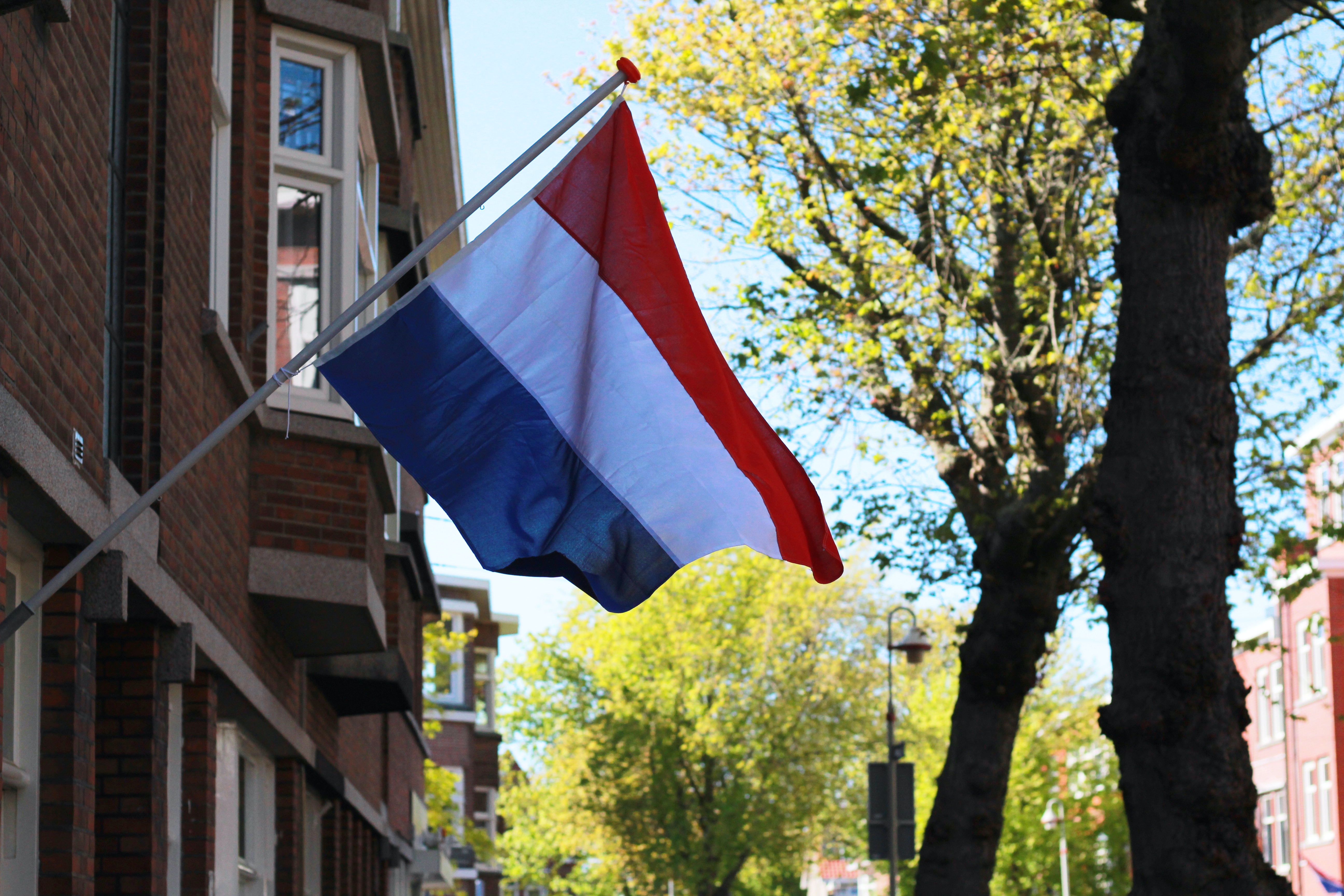 Netherlands Showcase